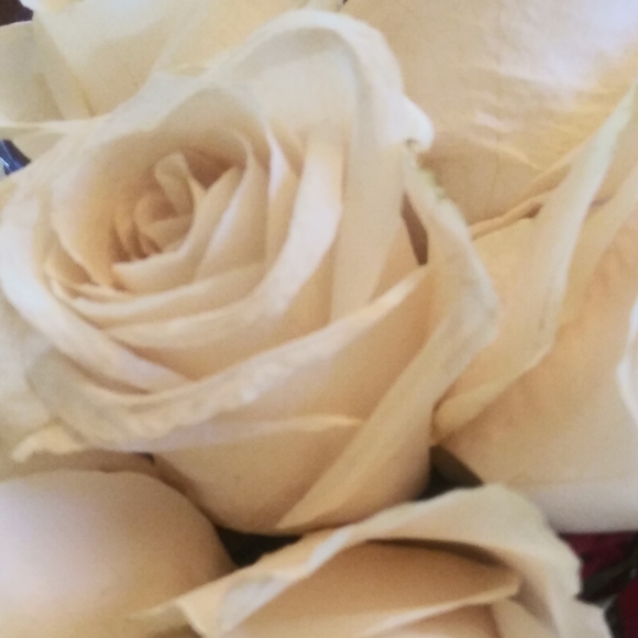 Meet your Posher, Janet - Picture 2 of 2